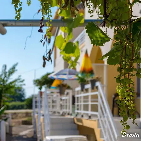 Drosia Διαμέρισμα Κυψέλη