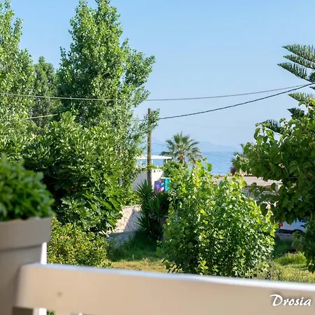 Daire Drosia *